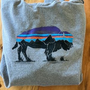 Gray Patagonia Hoodie, size Medium but feels like a small